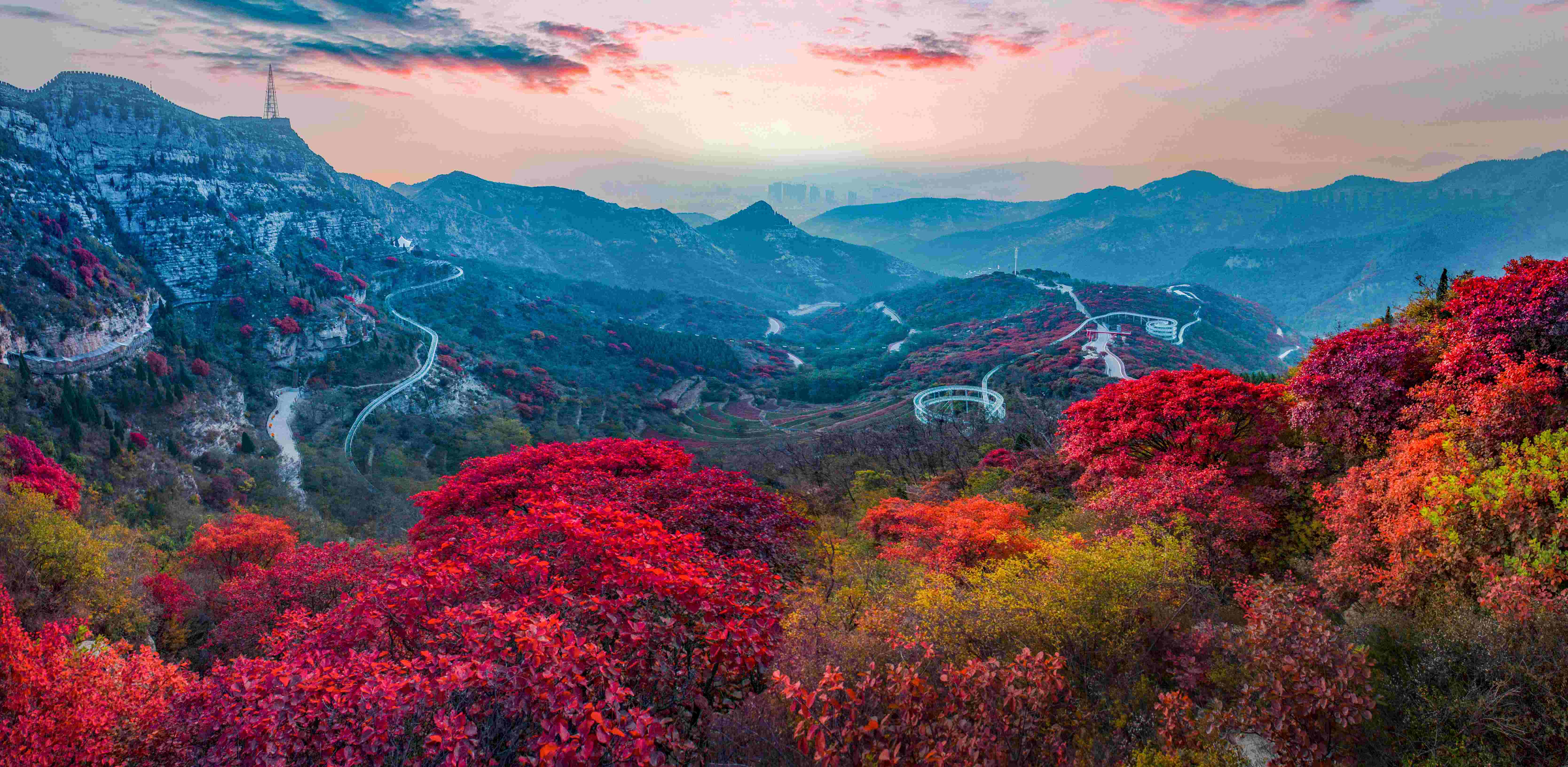 红叶柿岩   岳志盛_副本.jpg